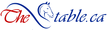 The Stable Logo